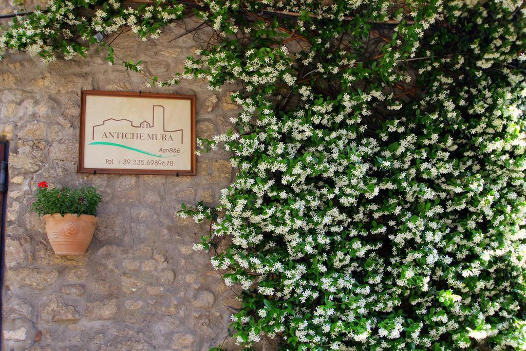 B&B Antiche Mura Tarquinia Dış mekan fotoğraf