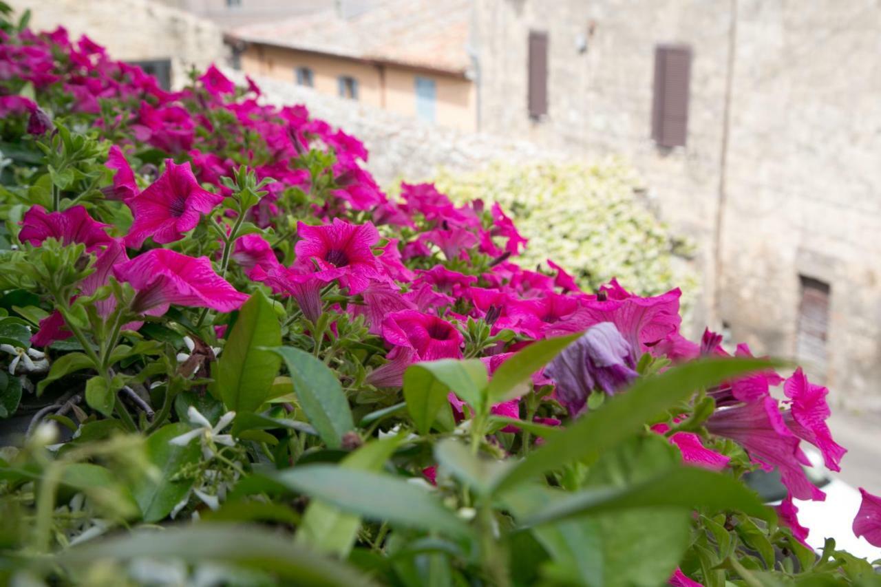 B&B Antiche Mura Tarquinia Dış mekan fotoğraf